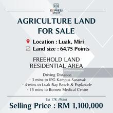 Agriculture Land at Luak, Miri