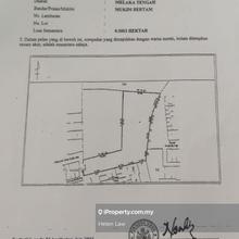 Freehold Batu Berendam Malim Cheng Pulau Gadong Residential Land 