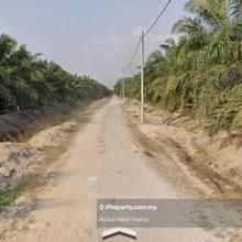 Freehold Argriculture Land Kg Delek Kuala Langat