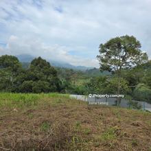 3.625 acres Karak Cinta Manis Mk Durian Land For Sale