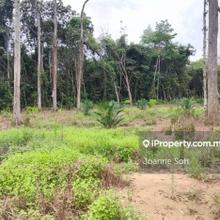 Agriculture land in industrial zoning facing main road for sale!!