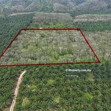 Gerik Perak 6 Acres Rubber Tree Agriculture Land For Sale 
