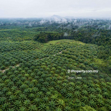 Kluang, Johor Zoning Commercial Land For Sale