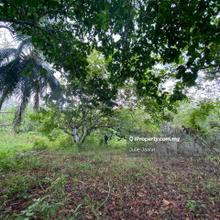 Tanah untuk di jual di Ayer Hangat, Langkawi Kedah. Retired Home 
