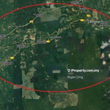 338 acres Durian Estate - Inexpensive