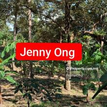 Near Penang Glass House Balik Pulau, Penang Arigculture Land For Sale 