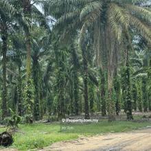 Pekan Nenas Pontian Ulu Choh Gelang Patah Kangkar Pulai Skudai