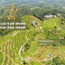 Agriculture land for Sale