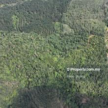 9.515 acres Karak Seri Telemong (Batu 21) Rubber Land For Sale