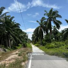 Jeram Batu 12 Agriculture Land Zoning Industrial Land Kuala Selangor