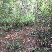 9.370 Acres Ruab Durian Orchard For Sale 