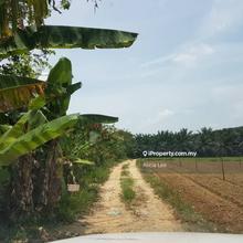 Sepang  7 acres agricultural land for sale, strategic location, f/h.