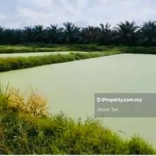 Kota tinggi agrulture land for sale