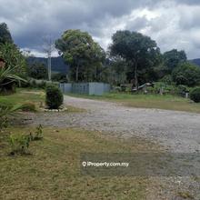 Agriculture land for Sale