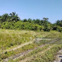 Perfect land for farm house