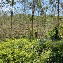 8 acres Karak ( Batu 21) Seri Telemong Vacant Land For Sale