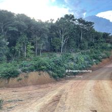 Agriculture land for Sale