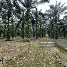 Kapar klang land for sale 4 acres