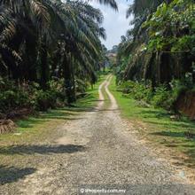 Felda taib andak kulai agriculture land for sale