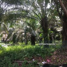 Agriculture land for Sale
