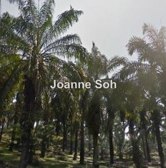 Agriculture land