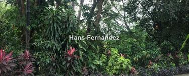 Residential land for Sale 1