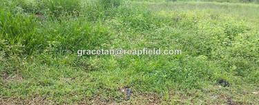 Bungalow land for Sale 1