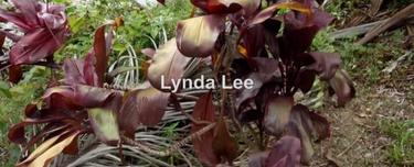 Residential land for Sale 1