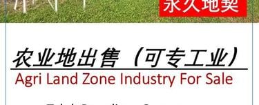 Prime Location Agriculture Land Zone Industry For Sale In Jenjarom 1