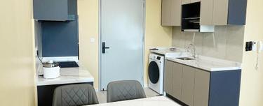The Pano (Brand new unit for rent) 1