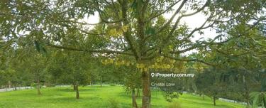 Agriculture land for Sale 1