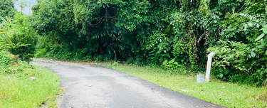 Kg Kijang Alma @ Bukit Mertajam, Penang  1