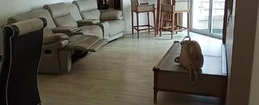 Ocean Palm Condominium For Rent 1