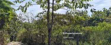 4.5 acres Karak Kg Cinta Manis (Sertik) Vacant Land for Sale 1