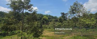 1 ac Bentong Kg Asap Durian Land For Sale 1