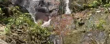 Durian Orchard with Waterfall @ Tanjung Malim, Perak  1