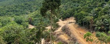 Seremban Agricultural land for sale 1