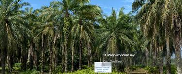 Residential zoning land next to Nct industrial park for sale 1