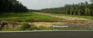 Telok Mengkuang 5 acre Industrial land for Sale 1
