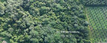 9.8 acres Lanchang Agriculture Land for Sale 1