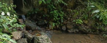 Bentong 10 Acres Agricultural Land (neighbouring durian farm) For Sale 1