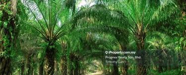 505 Acres Agricultural Land with Oil Palm in Malacca for Sale 1