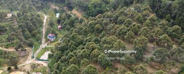 Agriculture land for Sale 1