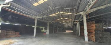 Spacious land for sales  1