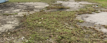 Butterworth Permatang Pauh Land Mainroad Frontage  1