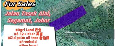 Old Palm Oil Tree Agri Land For Sales 1