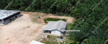 Freehold Agriculture Land Jasin Rim Melaka Limited For Sale  1