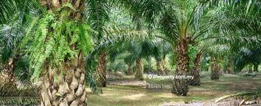 Klang , Air Hitam , Sijangkang Industrial land for Sale  1