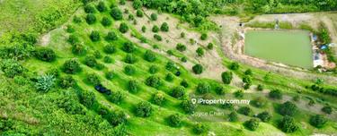 Mambau Rantau Seremban For Sale 12.44 Acres Agricultural Land 1