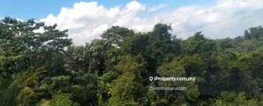 Tanah Pertanian Untuk Dijual Rasa  1